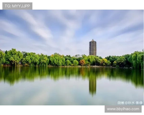 北京纪实频道直播：真实记录，见证时代变迁