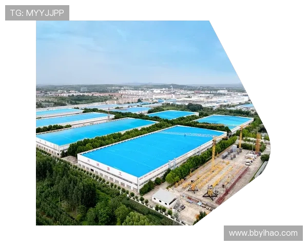 探索国际利来官网w66的多元化娱乐体验与服务优势